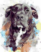 Добрый черный пес