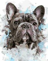 Французский бульдожек