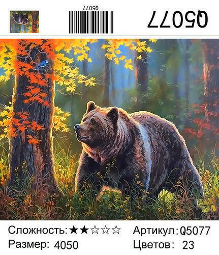 Магазин Медведь Вологда Адрес