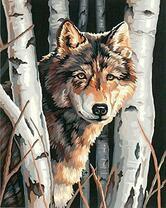 Серый волк в лесу