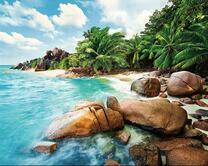 Берег тропического острова