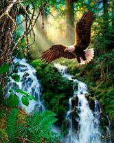 Орел над лесным водопадом