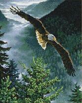 Орёл над горными деревьями