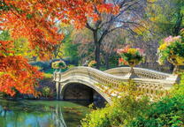 Каменный мостик через реку