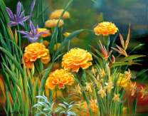 Желтые астры на лужайке