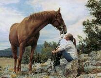 Лошадь и девушка