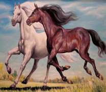 Белая и коричневая лошадь