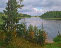 Русская река протекаяет через сосновый лес