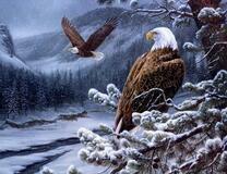 Горные орлы над замерзшей рекой