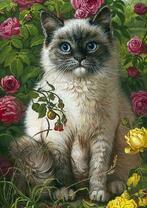 Кот в кустах роз