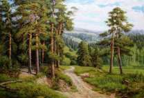 Дорога по сосновому лесу