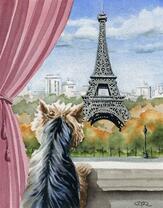 Собака в Париже
