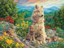 Волчья семья на лугу