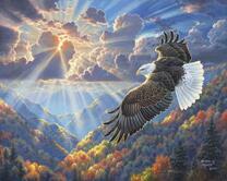 Полет орла в лучах солнца над горами