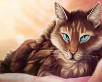 Голубоглазый кот