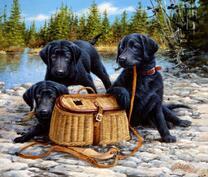 Собаки отдыхают после охоты