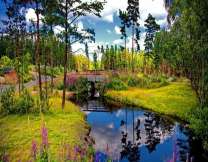 Речной мост в глухом лесу