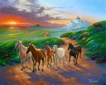 Дикие лошади в степи