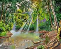 Солнечные лучи в лесу