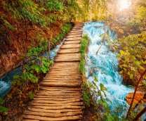 Деревянный мостик