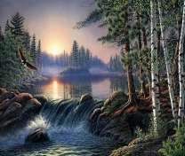 Полёт белоголового орлана над рекой