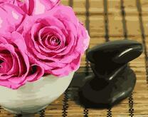 Розы и черные камни