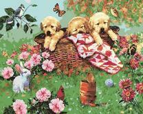 Три щенка лабрадора в корзинке на природе