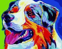 Цветная собака с преданным взглядом