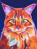 Рыжий кот с цветными оттенками