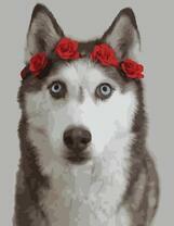 Преданный пёс