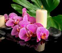 Орхидея, свеча и гладкие камни