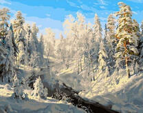 Зимний пейзаж в лесу