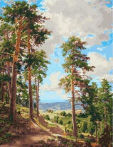 Высокие сосны на холме