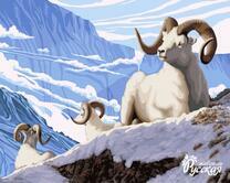 Бараны в снежных горах
