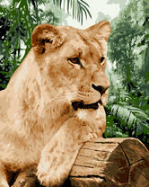 Львица на бревне в джунглях