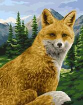 Красивый лис на фоне летних гор