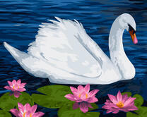 Красивый лебедь и лотосы на озере