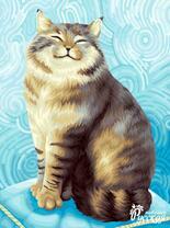 Большой довольный кот