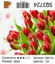 Багровые тюльпаны