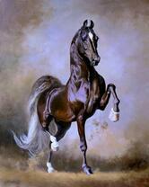 Неукрощенный конь