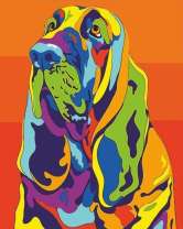 Цветной бассет-хаунд