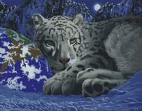 Белый леопард в ночи