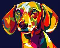 Колоритная такса. Ваю Ромдони