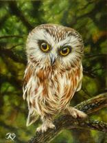 Удивленный совенок на ветке