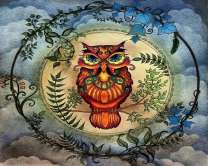 Сова в кругу