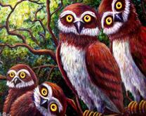 Испуганные совы