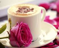 Латте и роза