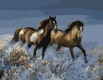 Лошади мчат по заснеженной траве