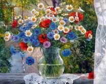 Ромашки, маки и васильки на подоконнике