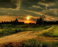 Картина по номерам Colibri «Проселочная дорога на закате»